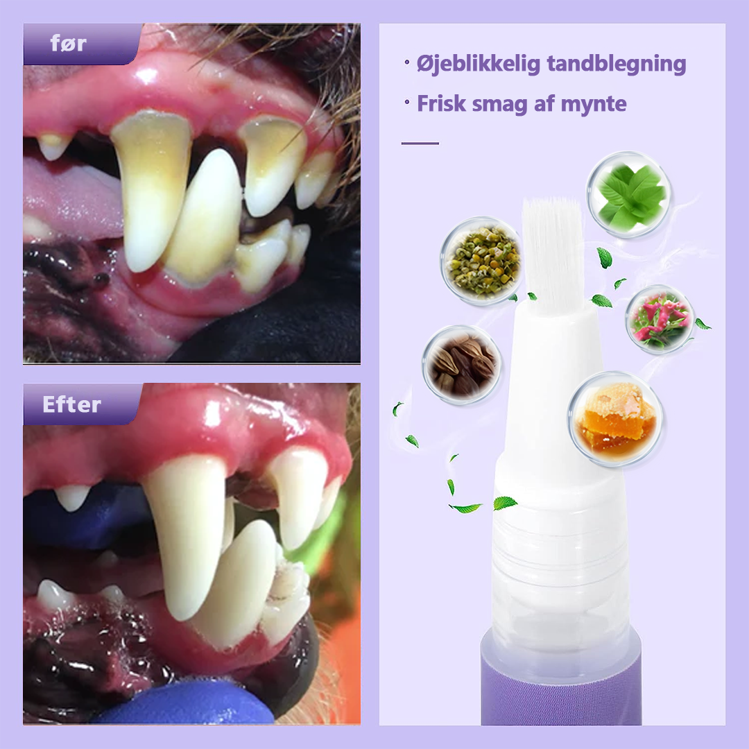 🐕Cvreoz® Pet Oral Repair Gel🐈Eliminerer dårlig ånde, forhindrer tandsten og plak🔥