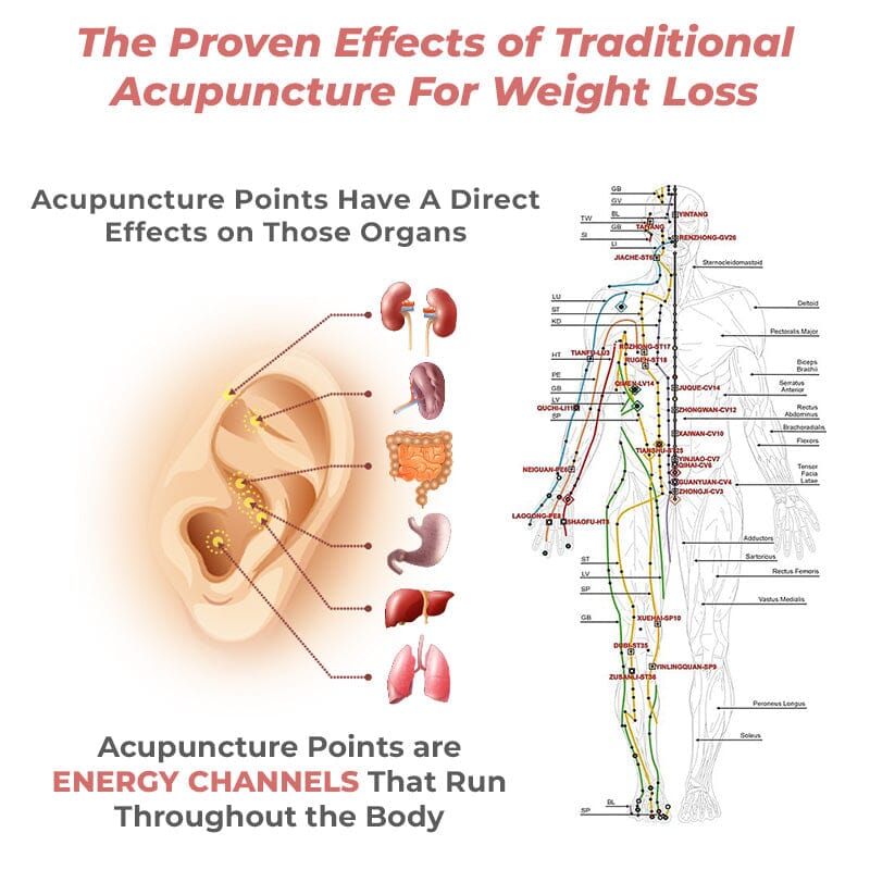 š„CZTICLE⢠Lymph Flow Magnetogen Earringsļ¼š„LAST DAY SALE-80% OFF)