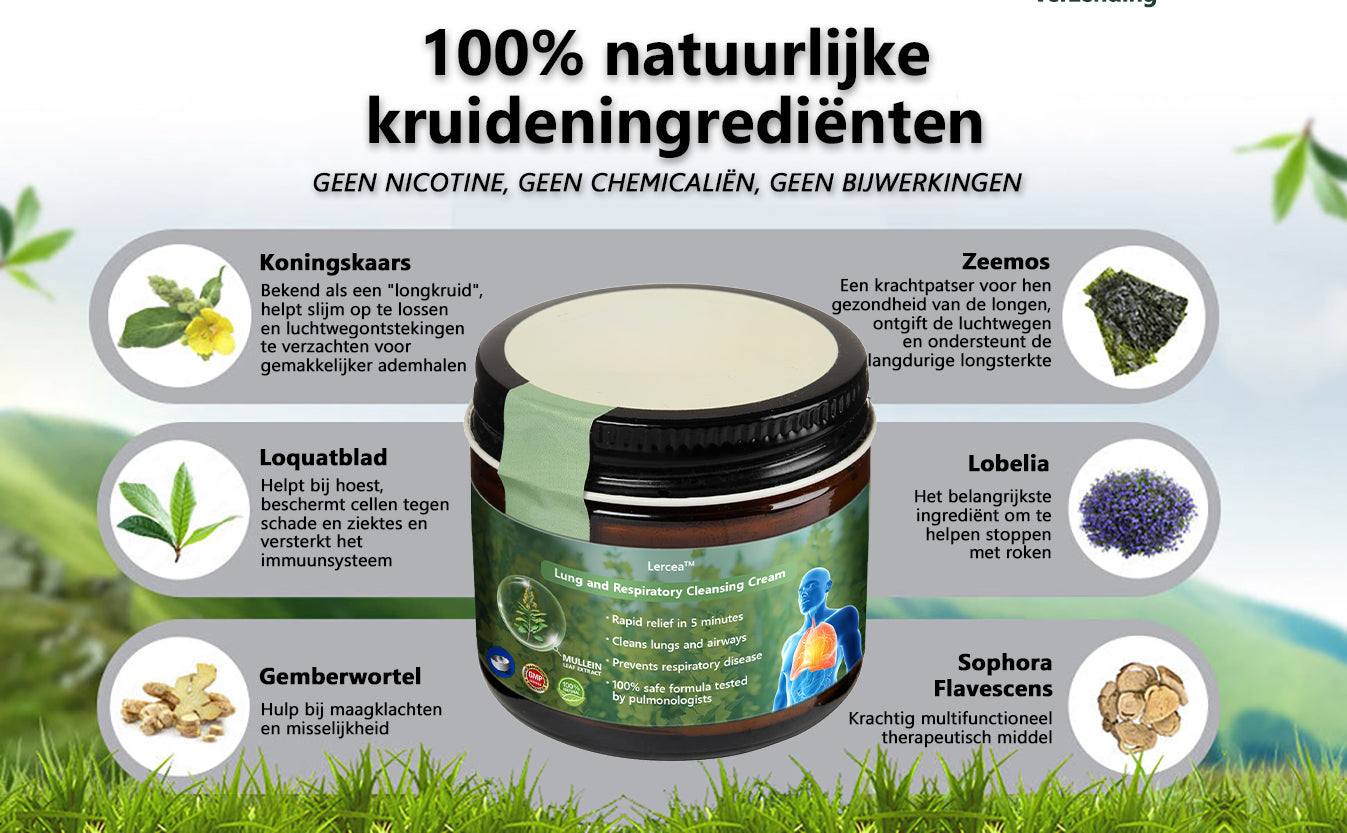 𝑳𝒆𝒓𝒄𝒆𝒂™Mullein Lung Repair Cream - goedgekeurd door de Nederlandse Thorax Vereniging om de longgezondheid te ondersteunen👨‍⚕️